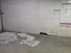 -成都市妇女儿童中心医院(中心院区)