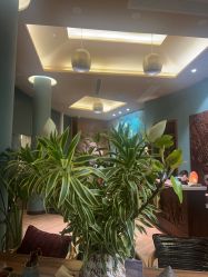 点击看大图 -娇玫荟SPA