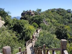 -大岭沟猕猴桃谷风景区