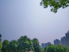 -重庆彩云湖湿地公园