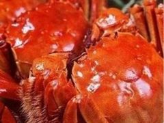 大闸蟹-新光酒家·河豚·海鲜·蟹料理(浦东店)