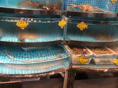 -正德楼果木烤鸭·渔家菜(东港店)