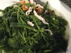 -花溪雨·森林餐厅(石基店)