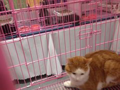 -北京华联购物中心(同成街店)