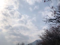 -西昌邛海湿地