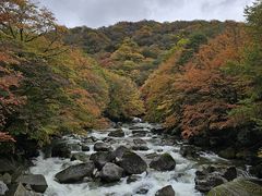 -光雾山旅游景区
