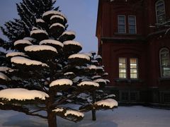 -北海道厅旧本厅舍(旧本庁舎)