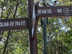 -梧桐山风景名胜区