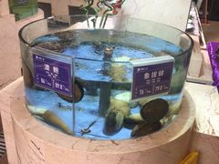 -旺顺阁海鲜广场(亚运村店)