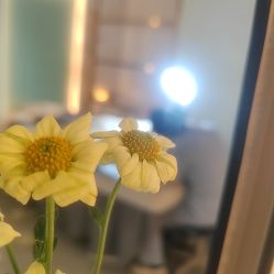 -MIDA蜜哒•科技逆龄美肤连锁