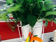 -曼格纳·曼芯馆(杨浦店)