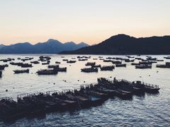 -北岐滩涂