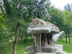 -北京野生动物园