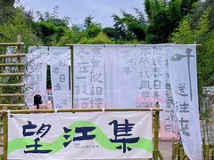 -望江楼公园