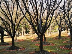 -苏州河梦清园环保主题公园