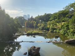 -云溪植物园