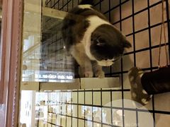 -娜娜家•Nana’Garden (福州道店)