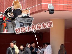 -美心皇宫(沙田大会堂店)