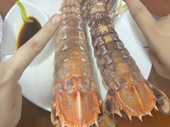 -强记龙虾钳(定安里店)