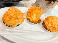 -丁老爷子苏香圆