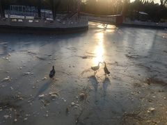 -丰台花园