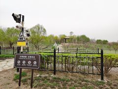 -西青郊野公园