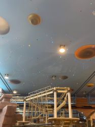 -卡通尼·Safari非洲探索乐园·生日会(金桥国际商业广场店)