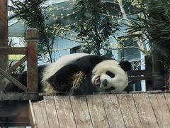 -临沂动植物园