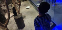 -未来动物城动物主题公园(大悦城店)