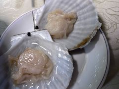 火锅扇贝-小煵记·打边炉(西丽文光店)