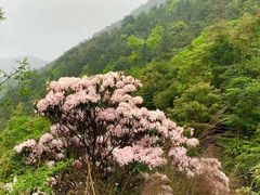 -广东天露山旅游度假区
