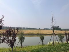 -湘湖金融镇