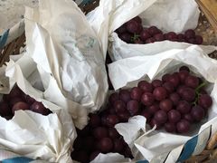 -马陆小张葡萄园农家乐