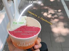 -Dip in Gelato(富民路店)