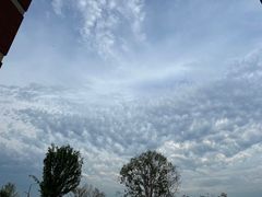 -溏心风鲍港式打边炉(余英坊店)