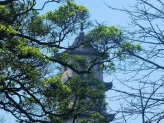 -江心屿景区