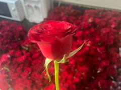 -好利来(高新枫叶广场店)