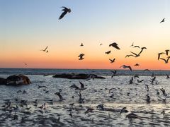 -老虎石海上公园