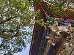 -宝莲禅寺
