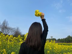 -杏花村文化旅游区