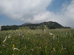 -白草畔自然风景区