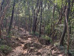 -紫金山山顶公园