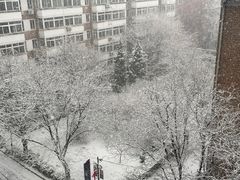 -壹条龙饭庄台基厂店