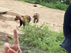 -沈阳森林动物园