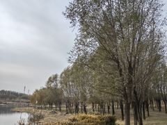 -马家湾湿地公园