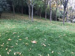 -牛岗山公园