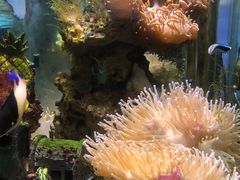 -太平洋海底世界