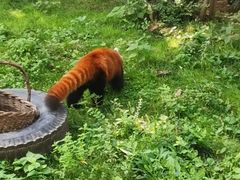 -西安秦岭野生动物园