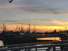 -Steveston Pizza Company (Richmond)