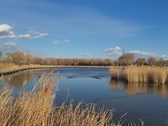 -野鸭湖国家湿地公园